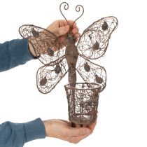Artikel Windlicht Wanddeko Schmetterling Metall Rostoptik mit Glas 36,5cm