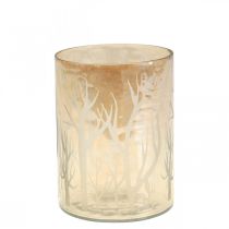 Windlicht Glas Deko Bäume Braun Teelichtglas Ø9,5cm H13,5cm