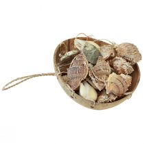 Artikel Windspiel aus Kokos und Muscheln Ø12,5cm Höhe 48cm Naturfarben für Innen- und Aussenbereich