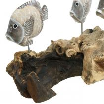 Deko-Fische auf Wurzelholz Maritime Deko Figuren Braun 38cm