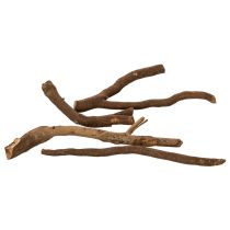 Artikel Deko-Holzäste naturgetrocknet 18 cm 500 g für kreative Dekoration