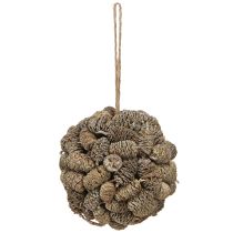 Artikel Zapfenkugel aus Erlenzapfen Weiss Gewaschen 12cm mit Juteaufhänger