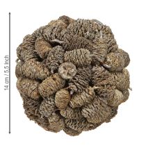 Artikel Zapfenkugel zum Hängen Erlenzapfen Weiß gewaschen 12cm