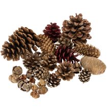Artikel Zapfenmix Natur zum Basteln und für Adventsdekoration 2–10 cm 400 g