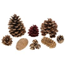 Artikel Zapfenmix Natur zum Basteln und für Adventsdekoration 2–10 cm 400 g