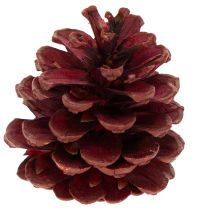 Artikel Zapfenmix Natur zum Basteln und für Adventsdekoration 2–10 cm 400 g