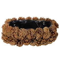 Artikel Pflanzschale aus Tannenzapfen oval 30cm naturbraun