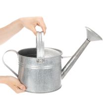 Artikel Zink-Giesskanne 27cm Vintage-Look - Metall Pflanzgefäss für Garten & Terrasse