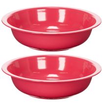 Artikel Pflanzschale runde Form für stilvolle Indoor Dekoration oder Garten 29cm 2St