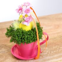 Artikel Tassen aus Metall zum Bepflanzen mit Untersetzer, 11 cm, Rosa und Rot, 6er-Set