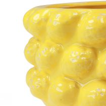 Artikel Übertopf Zitronen Keramikschale Pflanzgefäß Gelb Ø26cm H12cm