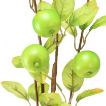 Artikel Künstlicher Dekozweig Apfelzweig Grün 80cm