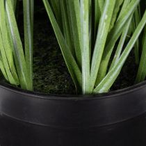 Artikel Künstliche Pflanze Dekogrün mit filigranen Blüten 67cm, Grün-Lila
