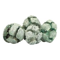 Artikel Zypressen-Zapfen Gefrostet Grün 3 cm 500 g Naturdeko