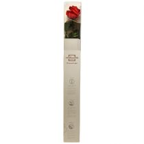 Artikel Infinity Rose konserviert Rot mit Blättern ca. 54 cm