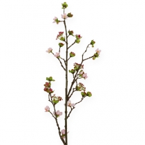 Kirschblütenzweig Rosa 95cm