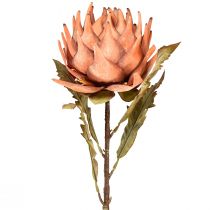 Artikel Artischocke Kunstblume Herbst Orange Dry Look Ø15cm 73cm