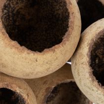 Artikel Bell Cup Mix Natur, 15 Stück, Holz, Ø 4-5,5 cm, Stiellänge 38 cm