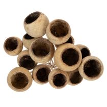 Artikel Bell Cup Mix Natur, 15 Stück, Holz, Ø 4-5,5 cm, Stiellänge 38 cm