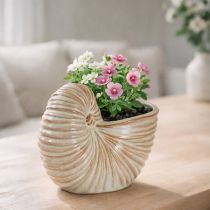 Artikel Blumentopf Keramik Schneckenform 21cm Creme-Ton für Innenbereich