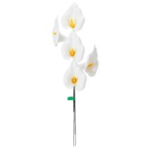 Artikel Künstliche Calla am Draht Weiss 35cm 50 Stück