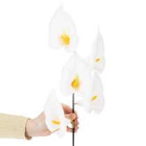 Artikel Künstliche Calla am Draht Weiss 35cm 50 Stück
