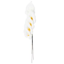 Artikel Künstliche Calla mittel am Draht weiss 37cm 50 Stück