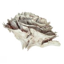 Artikel Zedernzapfen in Rosenform, 4–6 cm, weiss/natur, 50 Stück