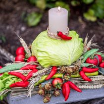 Artikel Chilischoten Rot Lebensmittelattrappe 9cm am Zweig