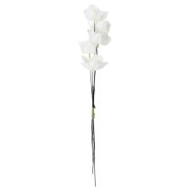 Artikel Künstliche Christrosen am Draht Weiss 32cm Ø6cm 50 Stk