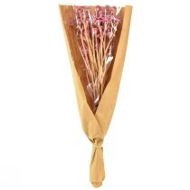 Artikel Currykraut Immortelle Künstlich Pink L28cm 12 St 1 Bund