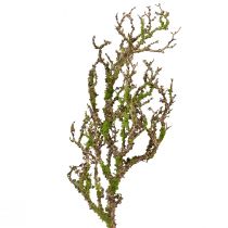 Artikel Deko Ast mit Moos Künstlich Herbstdeko Grau Grün L78cm