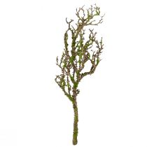 Artikel Deko Ast mit Moos Künstlich Herbstdeko Grau Grün L78cm