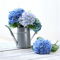 Artikel Verzinkte Deko Gießkanne Metall Grau Vintage-Look 1,7L H23cm für stilvolle Blumendeko & Pflanzgefäß