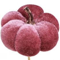 Artikel Deko Kürbis aus Stoff am Stab 7 cm Burgund und Rosa, 9 Stück