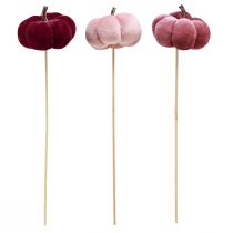 Artikel Deko Kürbis aus Stoff am Stab 7 cm Burgund und Rosa, 9 Stück
