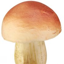 Artikel Deko-Pilze aus Kunststoff am Stab Braun H10/11,5cm – 8-teiliges Set für Innen- und Aussendekoration