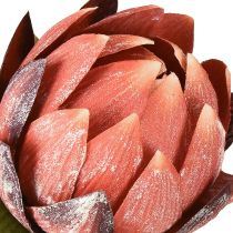 Artikel Deko Protea künstlich Kunstblumen Rotorange 34 cm 3 Stück