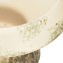Artikel Deko-Schale aus Keramik mit Sockel, Ø 17 cm, Höhe 10 cm, Creme und Graugrün