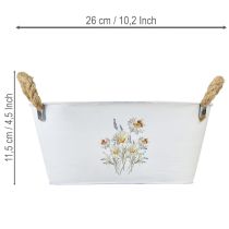 Artikel Deko-Schale aus Metall Oval mit Blumenmotiv Weiss 26cm