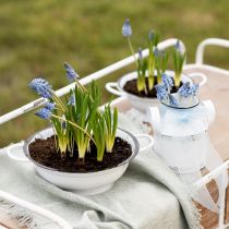 Artikel Deko Schüssel Metall in Weiß Schwarz Vintage Ø20,5cm 3St