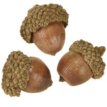 Artikel Eicheln Dekoration Natur Ø1,5–2,5cm 300g Herbstdeko Bastelmaterial