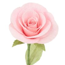 Artikel Floristen-Krepppapier Floristenkrepp Rosa 50×250cm 5St