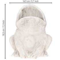 Artikel Beton Pflanztopf Frosch Grau 18,5 cm für Pflanzen