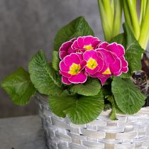 Artikel Geflochtener Korb als stilvolle Blumendekoration im Wohnbereich 23cm 6St