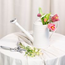 Artikel Gießkanne mit abnehmbarem Brausekopf Ideal für Zimmerpflanzen und Balkone 32cm