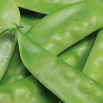 Artikel Grüne Erbsen Attrappen künstliches Gemüse aus Kunststoff 11,5 cm 24 Stück