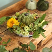 Artikel Herbstdeko Kürbis Hellgrün Grün Dunkelgrün Ø13cm 3 St