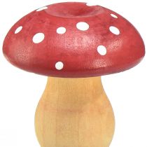 Artikel Holz-Deko-Pilze 9er-Set Fliegenpilze Rot, Orange, Ø 5 cm