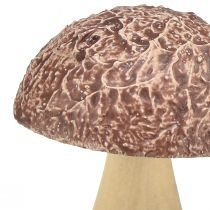 Artikel Dekopilze aus Holz Braun 5x6cm 8er-Set – Herbstdeko und Tischdekoration